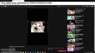 Vídeo no Xvídeos? Comentários #1