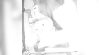 Disobedient stepdaughter Begs in pain from 10 Inch cock