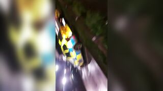 Cracky Production Update