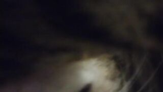 Adorable Kitten Waking Up